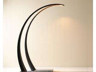 Designer Arc Floor Lamp